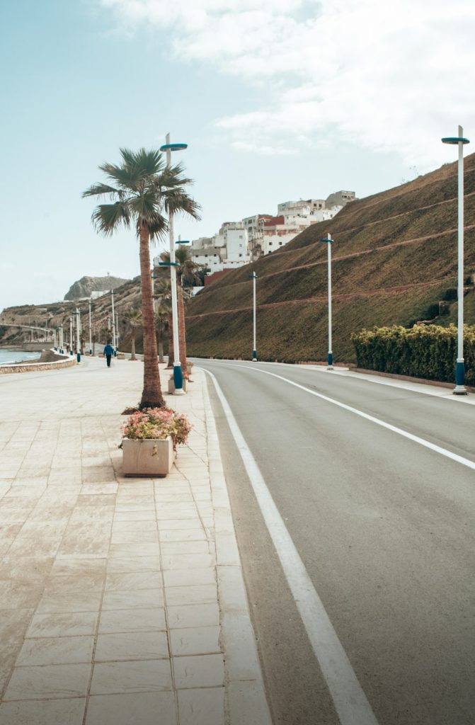 a-palm-tree-on-the-side-of-a-road-hpqkiwweyzo